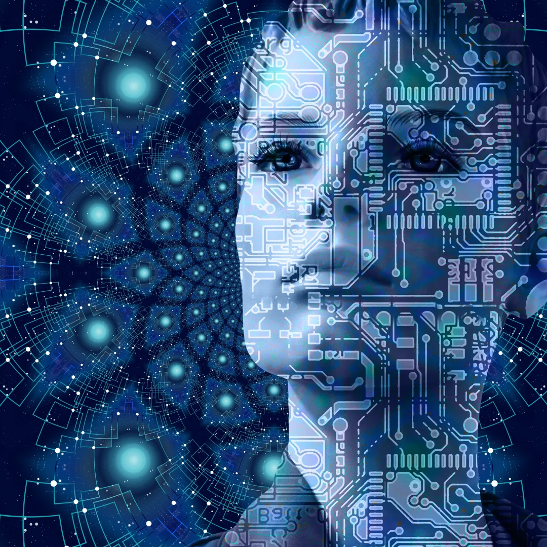 A look into The Life of a Female Computer Science Student